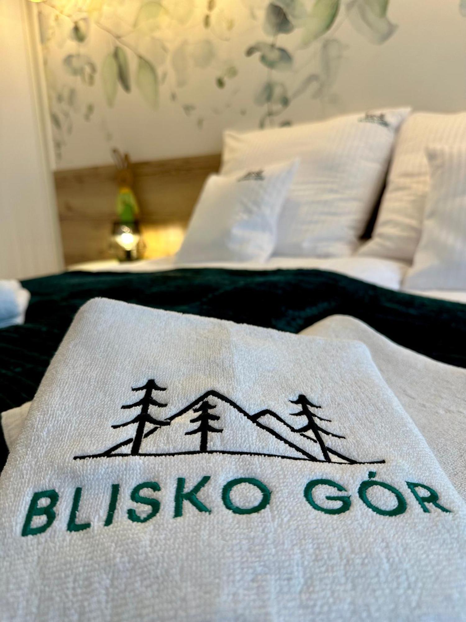 Ferienwohnung Blisko Gor Szyndzielnia Bielsko-Biala Exterior foto